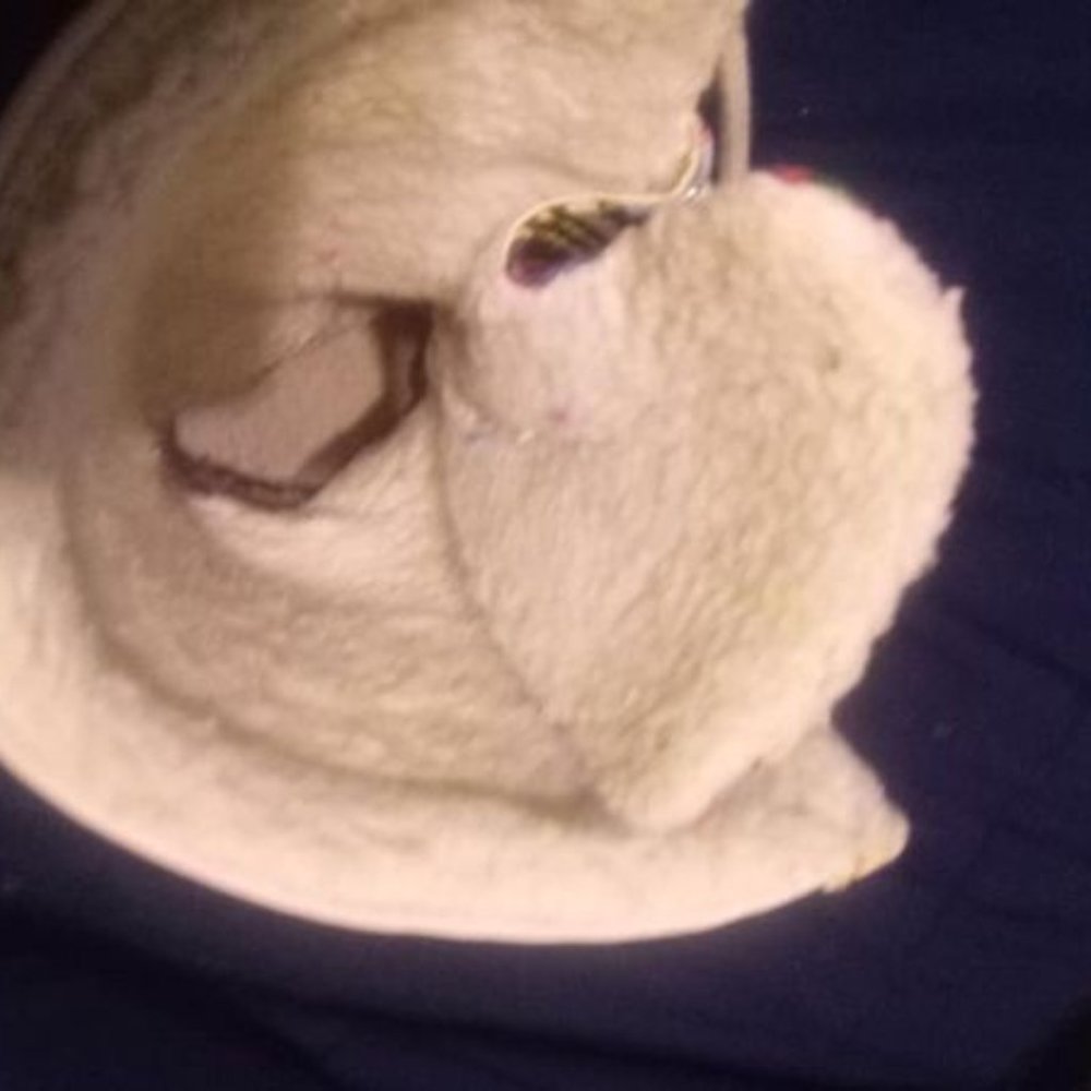 Coach Multi Colored Peggey Size 5 - image 3